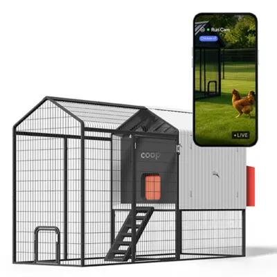 Product The Smart Coop + Steel Run 4-6 Chickens