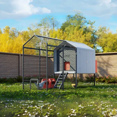 Product The Smart Coop + Steel Run 4-6 Chickens