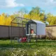 Product The Smart Coop + Steel Run 4-6 Chickens