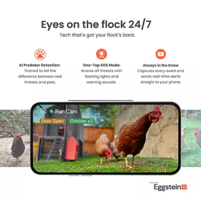 Product The Smart Coop + Steel Run 4-6 Chickens