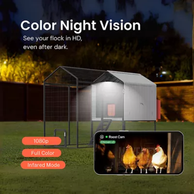 Product The Smart Coop + Steel Run 4-6 Chickens