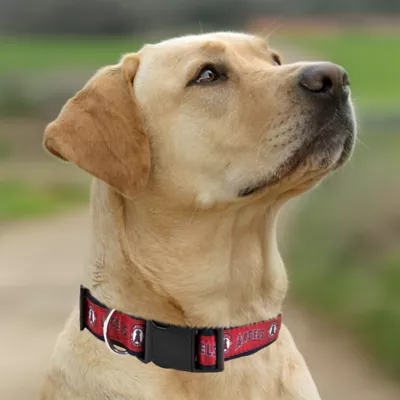 Pets First Los Angeles Angels Satin Collar - Image 4