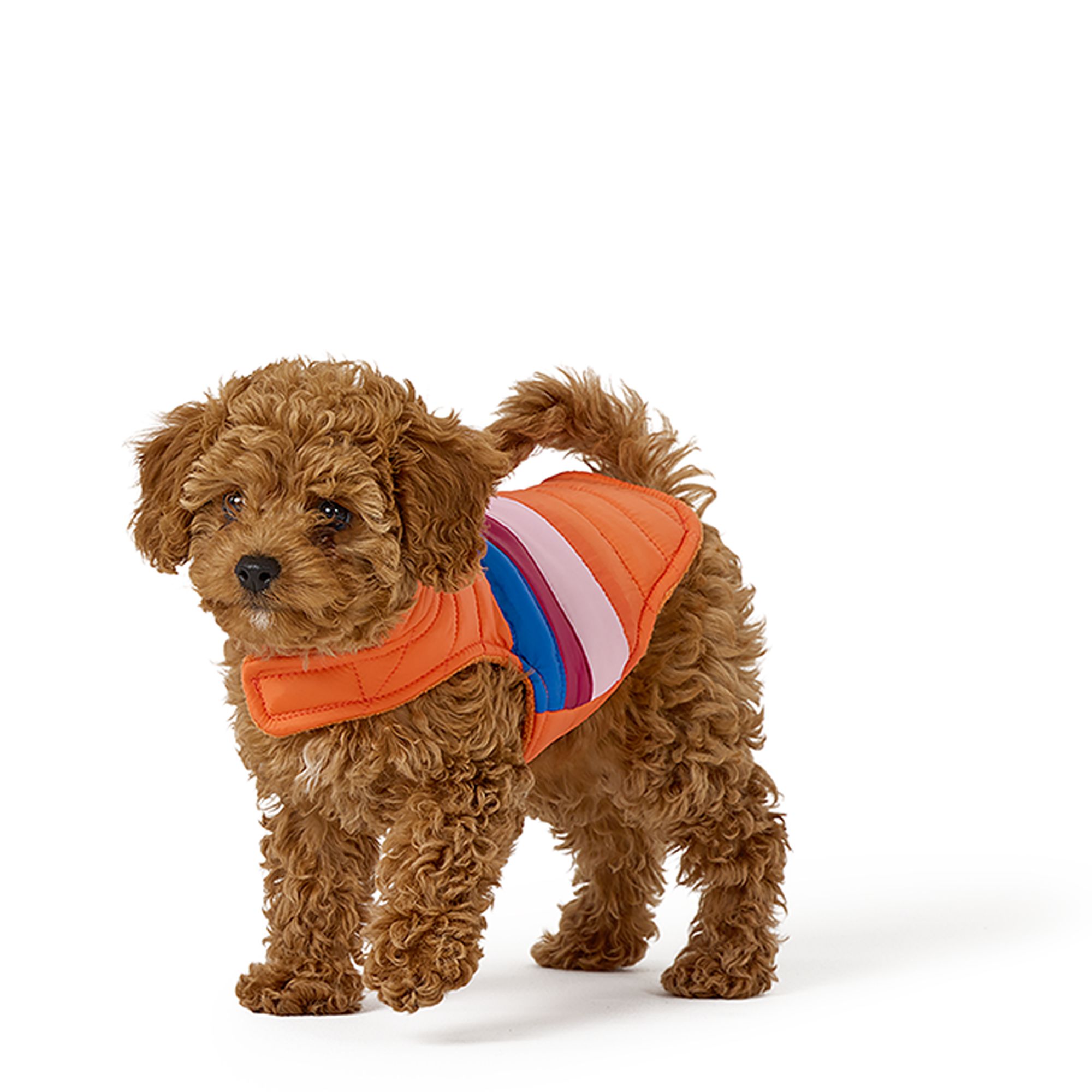 Top Paw® Pet Puffer