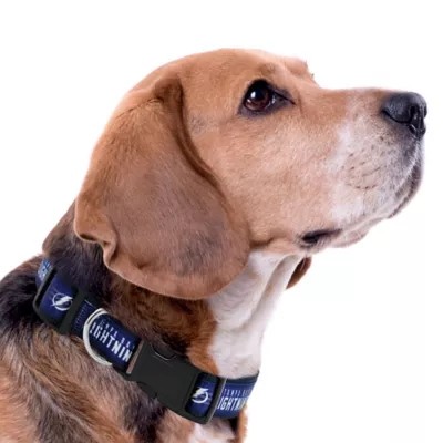 Pets First NHL Tampa Bay Lightning Satin Dog Collar - Image 3