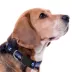 Pets First NHL Tampa Bay Lightning Satin Dog Collar image thumbnail 3