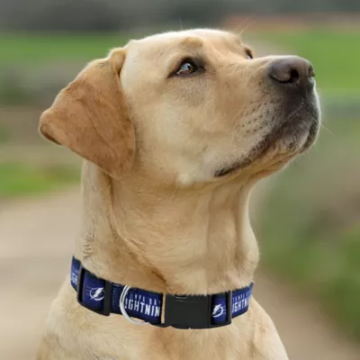Pets First NHL Tampa Bay Lightning Satin Dog Collar - Image 4