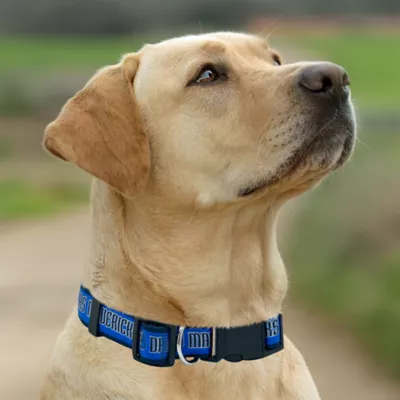 Pets First NBA Dallas Mavericks Satin Dog Collar - Image 4