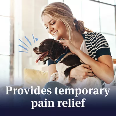 Product Pet Armor Canine Aspirin for Dog