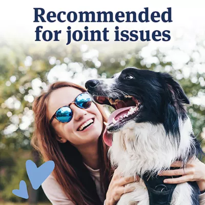Product Pet Armor Canine Aspirin for Dog