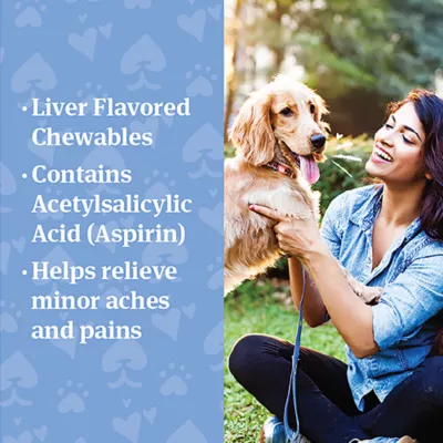Product Pet Armor Canine Aspirin for Dog