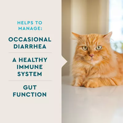 Product VetIQ Probiotic Stick Pack Cat 30 ct