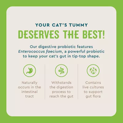 Product VetIQ Probiotic Stick Pack Cat 30 ct