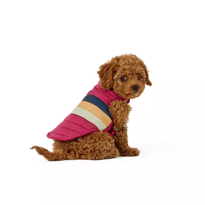 Top Paw® Pet Puffer - Image 1