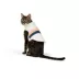 Top Paw® Pet Puffer image thumbnail 2