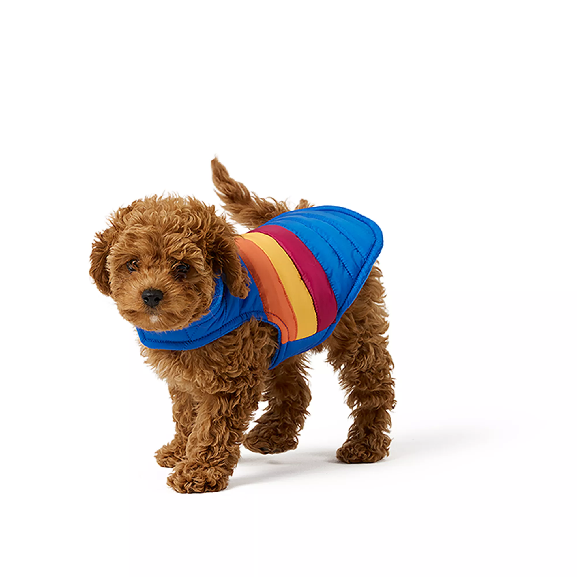 Top Paw® Pet Puffer