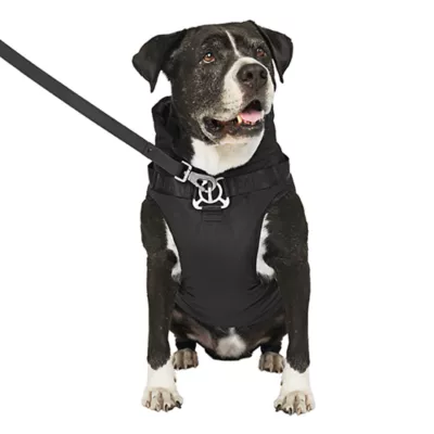 Canada Pooch Complete Control Harness Dog Winter Jacket - Black - Image 2