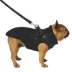 Canada Pooch Complete Control Harness Dog Winter Jacket - Black image thumbnail 3