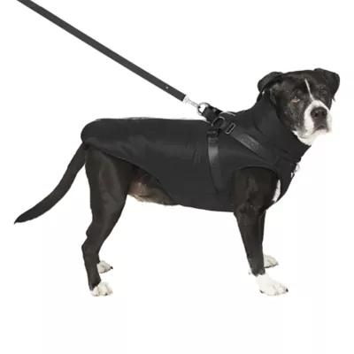 Canada Pooch Complete Control Harness Dog Winter Jacket - Black - Image 5