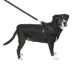 Canada Pooch Complete Control Harness Dog Winter Jacket - Black image thumbnail 5