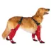 Canada Pooch Suspender Dog Boots - Long image thumbnail 3
