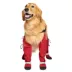 Canada Pooch Suspender Dog Boots - Long image thumbnail 4