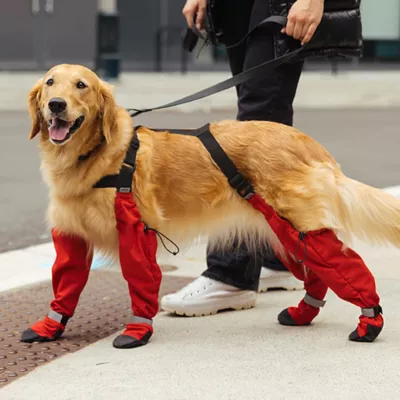 Canada Pooch Suspender Dog Boots - Long - Image 5