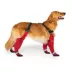 Canada Pooch Suspender Dog Boots - Long image thumbnail 3