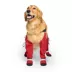 Canada Pooch Suspender Dog Boots - Long image thumbnail 4