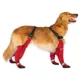 Product Canada Pooch Suspender Dog Boots - Long