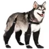 Canada Pooch Suspender Dog Boots - Short image thumbnail 2