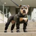 Canada Pooch Suspender Dog Boots - Short image thumbnail 5