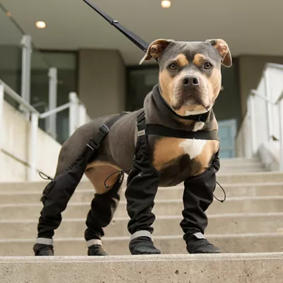 Canada Pooch Suspender Dog Boots - Short - Image 5