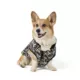 Product Arcadia Trail® Reversible Coat