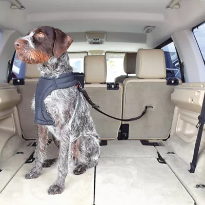 Product KONG Cargo Swivel Dog Car Tether