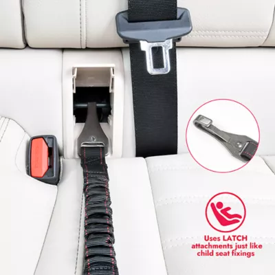 Product KONG Cargo Swivel Dog Car Tether