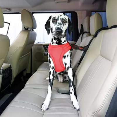 Product KONG Seat Belt Loop Dog Tether