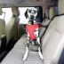 KONG Seat Belt Loop Dog Tether image thumbnail 2