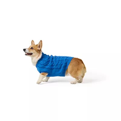 Top Paw® Fall Sweater - Image 1