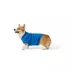 Top Paw® Fall Sweater image thumbnail 1