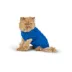 Top Paw® Fall Sweater image thumbnail 2