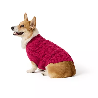 Top Paw® Fall Sweater - Image 1