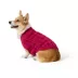Top Paw® Fall Sweater image thumbnail 1