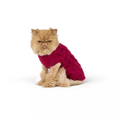 Top Paw® Fall Sweater - Image 2