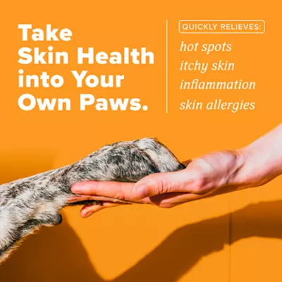 Product TropiClean HomeVet Itch & Allergy Spray, 8oz