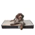 Dog Gone Smart Cool N Toasty Crate Pad image thumbnail 1