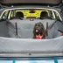 KONG Ultimate Cargo Liner & Car Tether for Dogs image thumbnail 3
