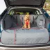 KONG Ultimate Cargo Liner & Car Tether for Dogs image thumbnail 4