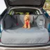 KONG Ultimate Cargo Liner & Car Tether for Dogs image thumbnail 7
