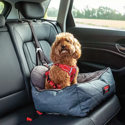 Product KONG Ultimate Safety Tether and Seat