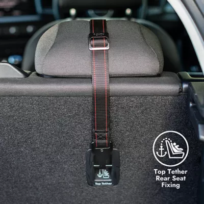 Product KONG Ultimate Safety Tether and Seat